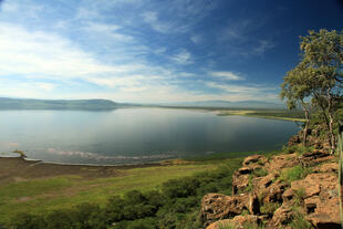 Blick auf den Nakuru-See