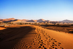 Blick auf die Namib Wüste