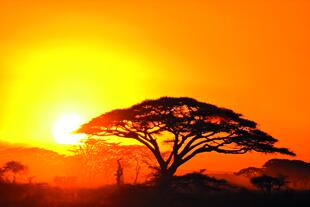 Sonnenuntergang über Kenia