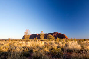 Uluru / Ayers Rock