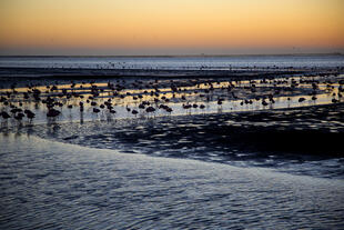 Sonnenuntergang in Walvis Bay