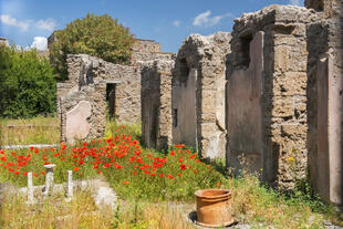Ruinen von Pompeij