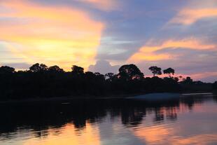 Sonnenuntergang in Amazonien