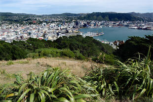 Panoramaaussicht auf Wellington vom Mt. Victoria Lookout