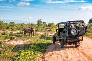 Safari Tour in Udawalawe