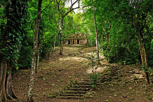 Maya-Ruine im Dschungel von Chiapas