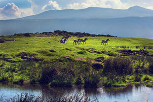 Blick auf den Ngorongoro-Krater