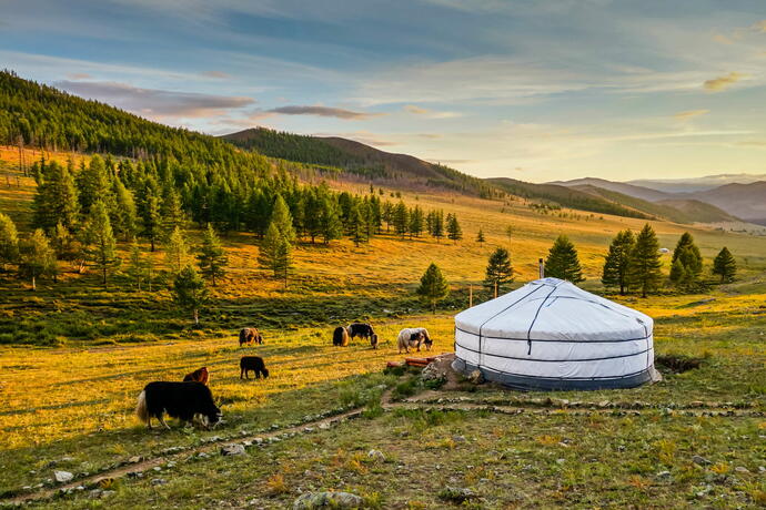Jurte in der Landschaft der Mongolei