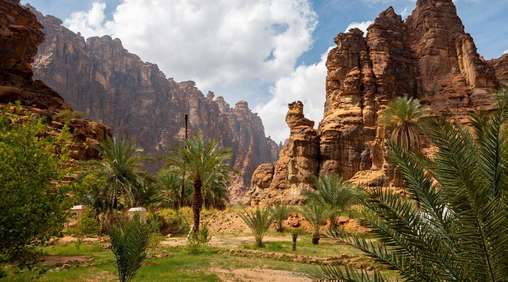 Palmen und Berge in Wadi Disah