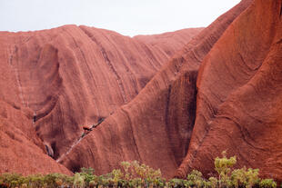 Uluru / Ayers Rock Nahaufnahme 