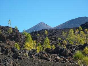 Teide und Pico Viejo vom westlichen Vulkangebiet Teide
