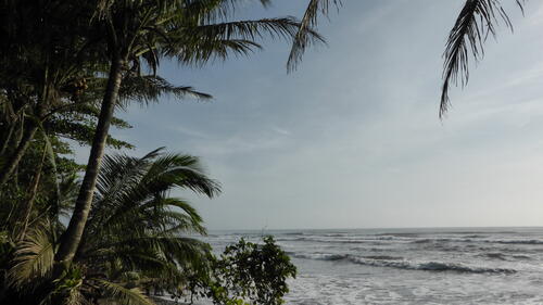 Costa Rica - ein Land, das eine Reise wert ist