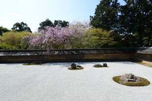 Zen Garten 
