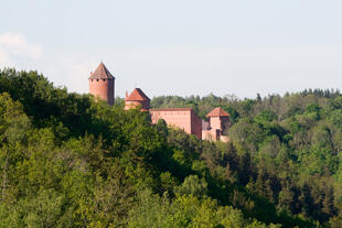 Blick auf die Turaida Burg