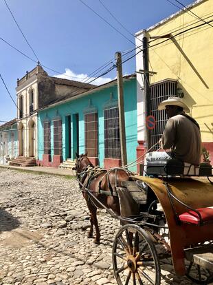 Traditionelle Kutsche in Trinidad