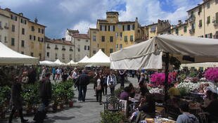 Marktplatz von Lucca