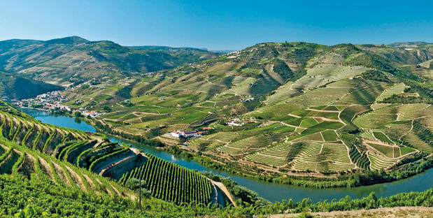 Panorama Douro Tal mit Weinbergen