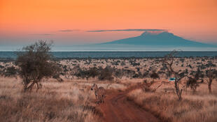 Sonnenuntergang Tsavo West