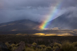 Regenbogen über Tongariro National Park 