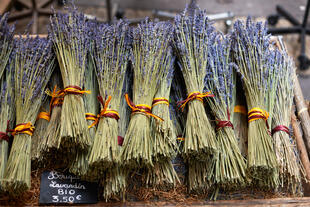 Getrocknete Lavendelsträuße auf dem Markt von Aix-en-Provence