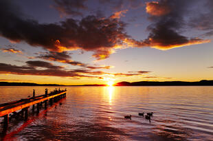 Lake Rotorua bei Sonnenaufgang 