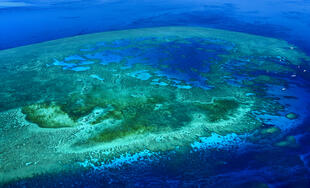 Vogelperspektive aufs Great Barrier Reef 