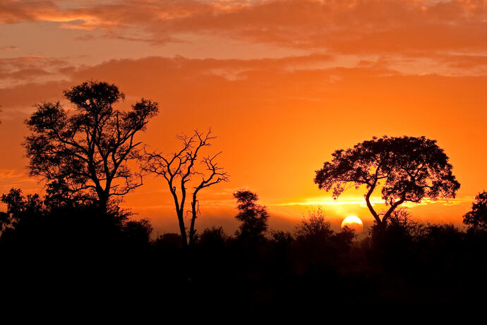 Sonnenuntergang im Krüger Nationalpark 