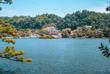 Kandy See