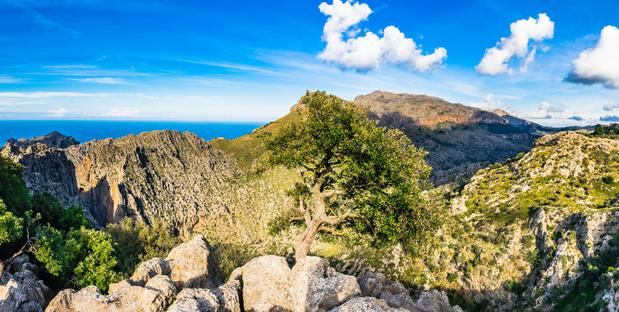 Tramuntana Gebirge