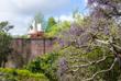 Trelissick Gardens