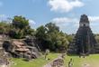Tikal Maya Stätte