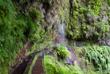 Wasserfall an der Levada do Rei