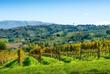 Weinregion Montefalco