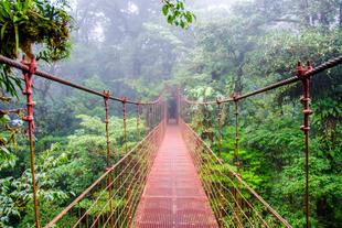 Hängebrücken im Monteverde Nationalpark