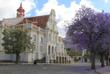 Town Hall in Graaff-Reinet
