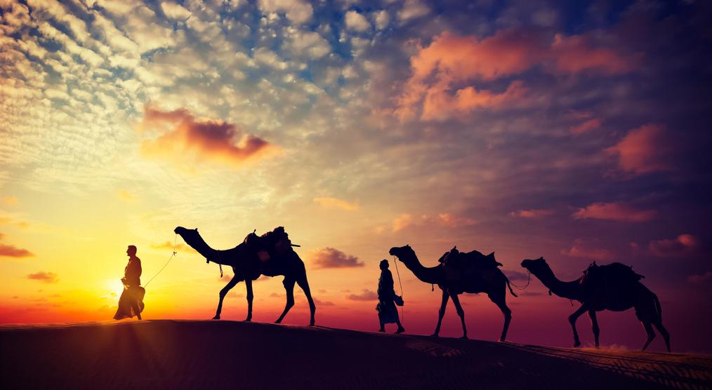 Rajasthan Reisen