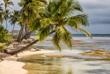 Strand auf der Insel Ambergris Caye