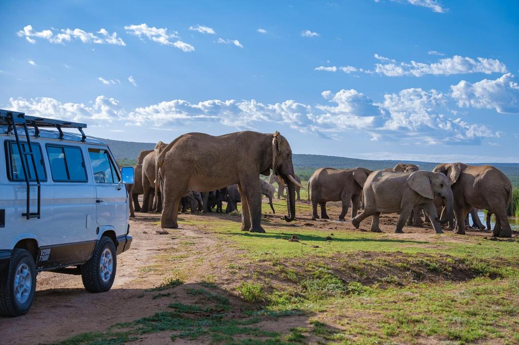 Addo Elephant National Park