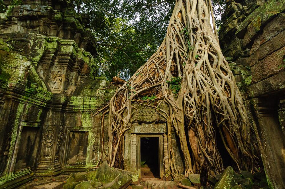 Ta Prohm