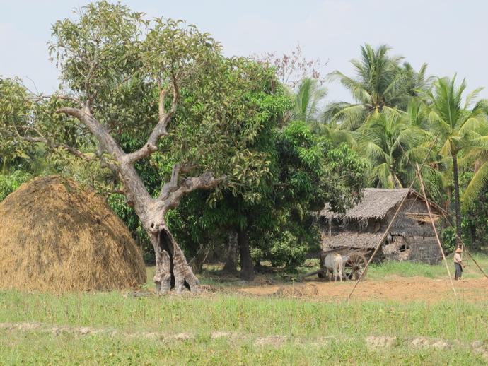 Bilu Insel 