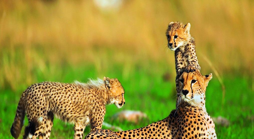 Namibia Reisen