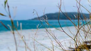 Great Ocean Road 