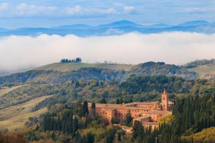 Weinbaugebiet in Siena