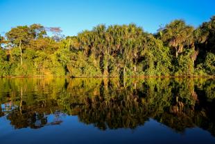 Amazonasgebiet bei Puerto Maldonado