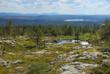 Landschaft Lapplands 