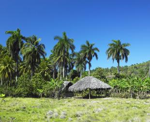 Humboldt-Nationalpark