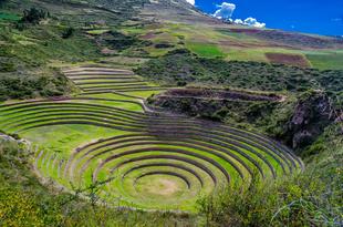 Moray