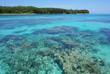 Coral Cay