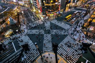 Shibuya Kreuzung