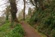 Levada Vale Paraíso